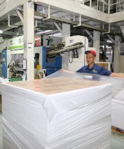 Alternative view of Top Sheet